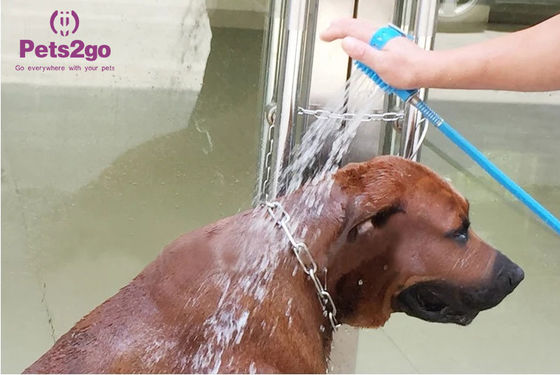 Quick Install 0.5kg 48pcs Grooming Pet Bathing Tool