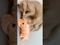 Gravity Jump Pet Shrimp Plush Toy Usb Charging