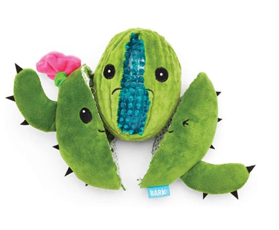 Pet Dog Cat Bite Molar Dog Bite Toy Tear Resistant Cactus