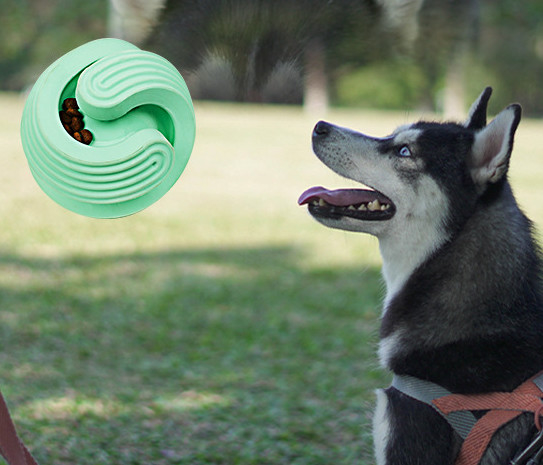 beste Kauenspielwaren für kleine Hunde