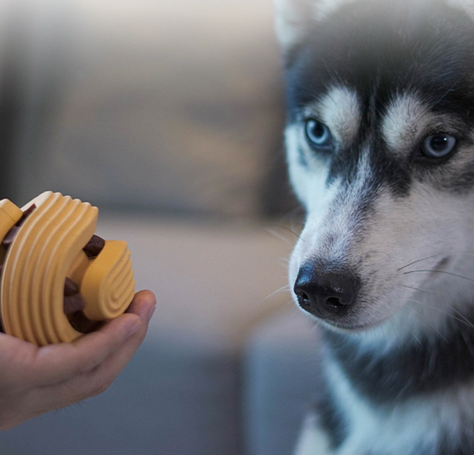 beste Kauenspielwaren für kleine Hunde