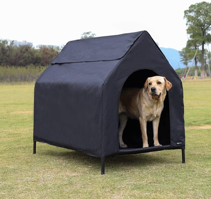  XL erhöhte Hundebett